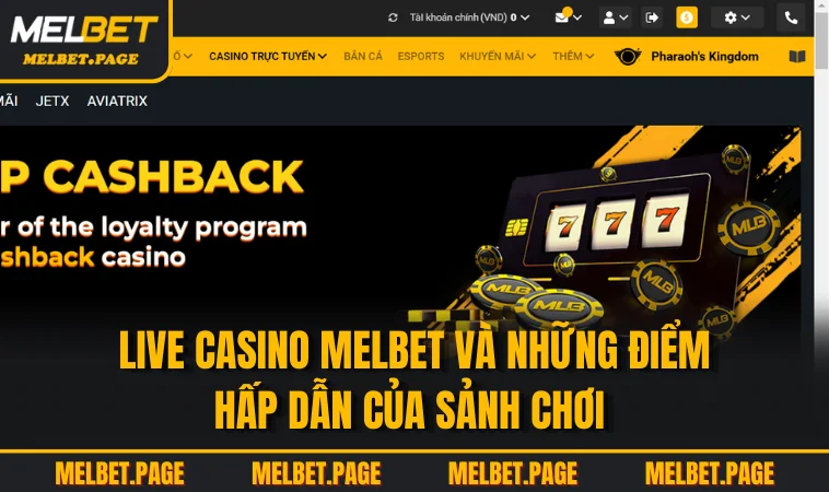 Live casino MELBET và những điểm hấp dẫn của sảnh chơi 