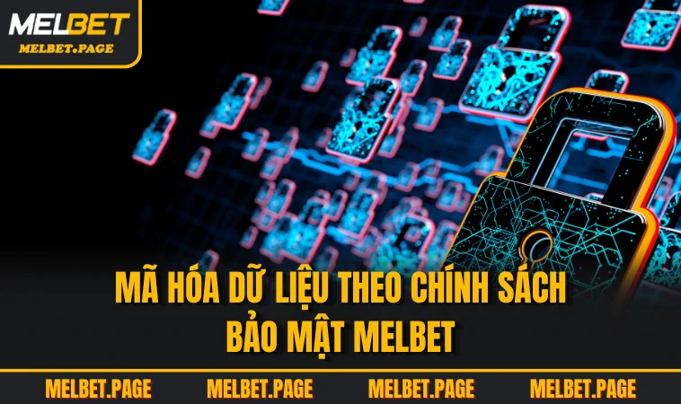 Mã hóa dữ liệu theo chính sách bảo mật MELBET