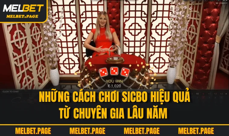 Những cách chơi sicbo hiệu quả từ chuyên gia lâu năm 