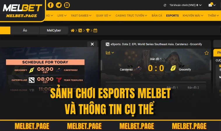 Sảnh chơi Esports MELBET và thông tin cụ thể 