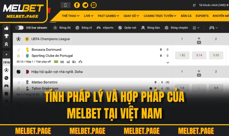 Tính pháp lý và hợp pháp của MELBET tại Việt Nam